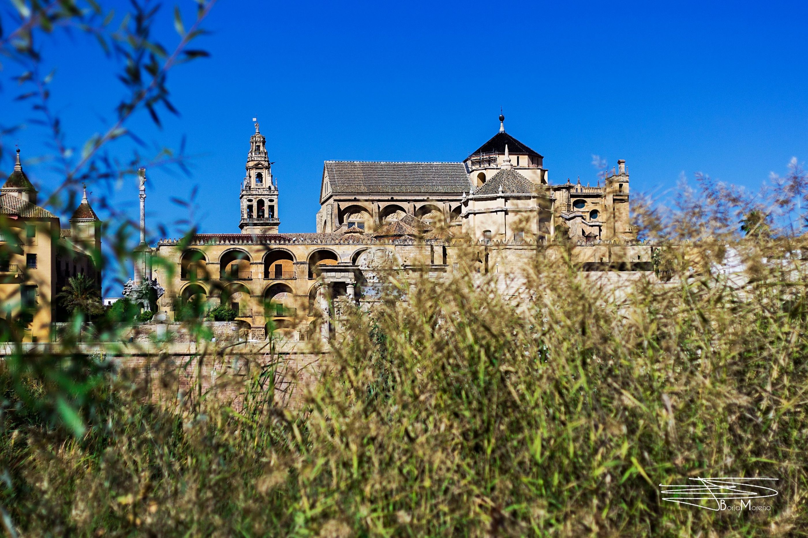 mezquita copia